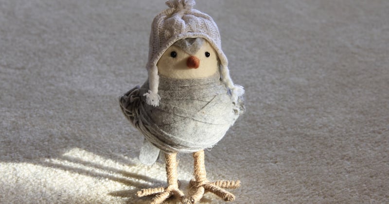 Blog maison et jardin : le retour des matières naturelles en décoration et en artisanat créatif