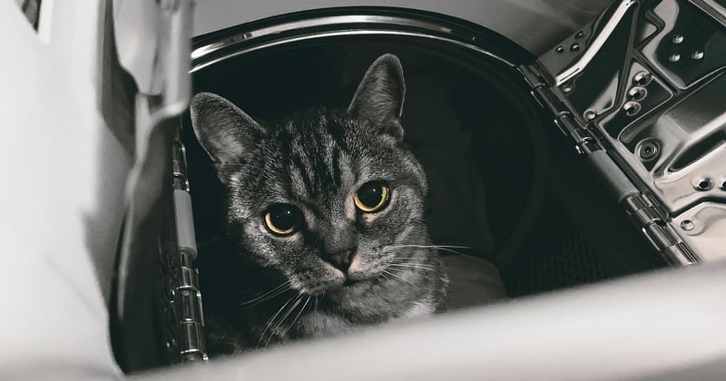 Séche linge Ubaldi : le guide malin pour bien choisir