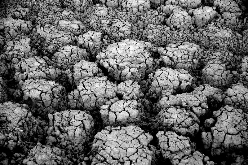 Paillage intelligent : le sol qui se régule tout seul