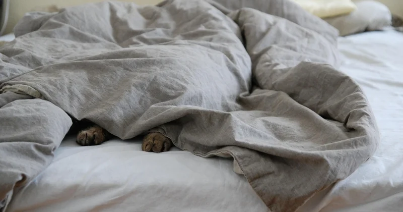 Quelle taille de couette pour un lit en 140 ?