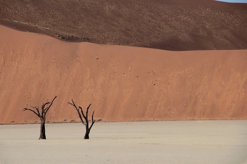Étape 3 : Isolation et climat : la bataille invisible